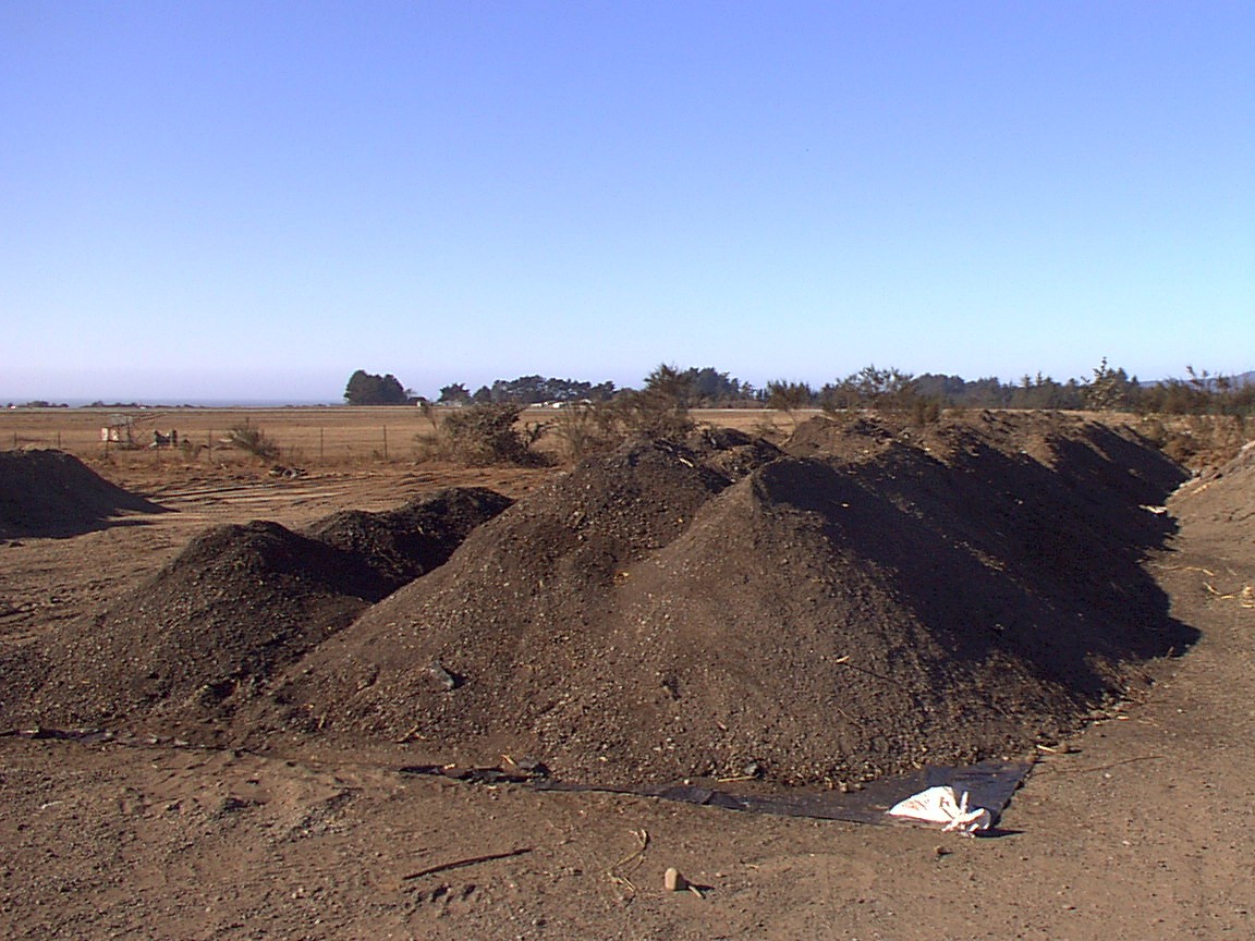 Jacobs Avenue soils